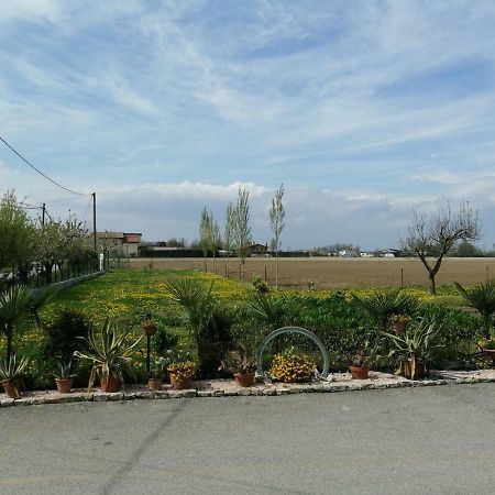 La Carlottina Villa Codevigo Exteriör bild