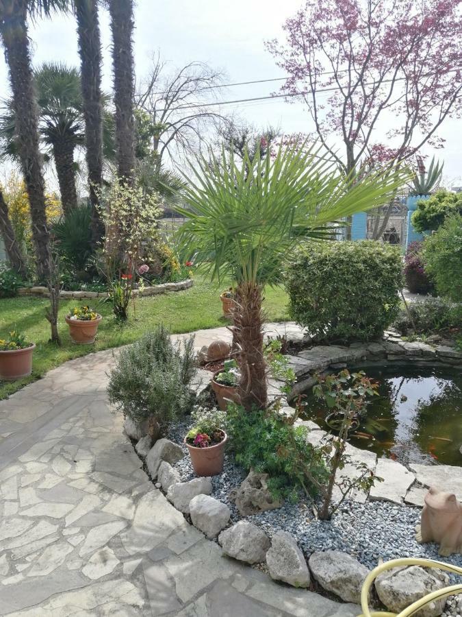 La Carlottina Villa Codevigo Exteriör bild